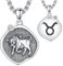 ROMANTIC WORK Sternzeichen Stier Kette 925 Sterling Silber Stier Anhänger Halskette Sternbild Astrologie Horoskop Schmuck Geschenke für Damen Herren