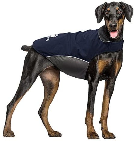 IREENUO Wasserdichter Hundemantel, Hundejacke Winter Winddichter Warmer Hunderegenmantel für Mittelgroße bis Große Hunde mit Sicheren Reflexstreifen und Verstellbarem Brustriemen (L, Blue)