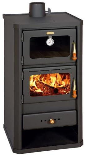 EEK A - Prity FM - 12.1 Holzofen mit Backofen, Kaminofen mit hoher Heizleistung effizienter Holzofen für Haus, Wohnung und Ferienhaus