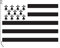 Stormflag Drapeau Bretagne 50x75cm Drapeau Breton 75x50cm Polyester 90g avec œillets et Double couture