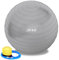 ZENO Exercise Ball 65CM | Pregnancy Ball for Stability | Yoga Balls for Gym, Pilates & Balance | Gym & Pilates Balls with Quick Foot Pump | Anti Slip | Grey