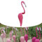 Ukisisi Tanzende Vögel，tanzende Vögel Garten，Flamingo Garten，windspinner Gartendekoration，Butterfly Wind Spinners，Flamingo, Windspiel, Skurriler Dynamischer Vogel-Flamingo, Für Gartendekoration