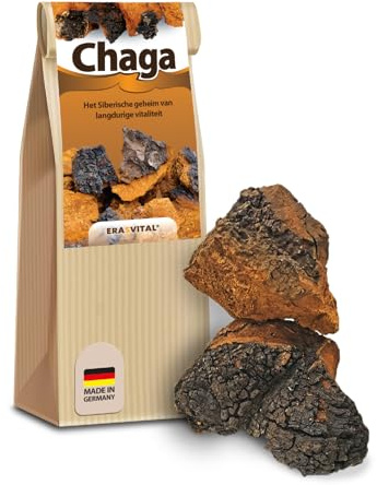 Chaga Pilz Brocken wild in den Wäldern Sibiriens gesammelt schonend getrocknet vegan Broschüre mit vielen Rezepten (150 g (1er Pack))