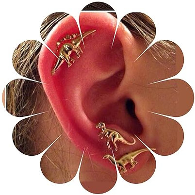 Yheakne Dinosaurier Ohrringe Gold Dino Ohrstecker Niedliche kleine Ohrringe Kreative Tierohrringe Schmuck für Frauen und Mädchen 3 Paar