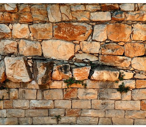 murando - Fototapete Premium-Vlies Steinwand 500x350cm - Foto Tapete Wohnzimmer Moderne Vliestapete XXL Wandtapete Motivtapeten Bildtapete 3d Effekt Wand Dekoration Flur Steine 3D Optik Stonewall