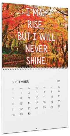 Demotivierender Tischkalender 2025, lustiger, vereinfachter Kalender, abreißbarer Tischkalender 2025, akademischer Monatsplaner mit inspirierenden und humorvollen Zitaten für den täglichen Gebrauch