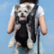 HundetRagetasche, Atmungsaktives Schulterdesign, Hunde Reise Rucksack, komfortabel und sicher (Schwarz, M)