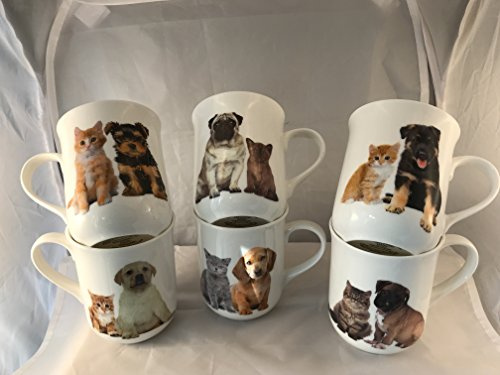 Set of 6 FINE Bone China Puppies and Kittens 10OZ Mugs Free UK DELIVERY