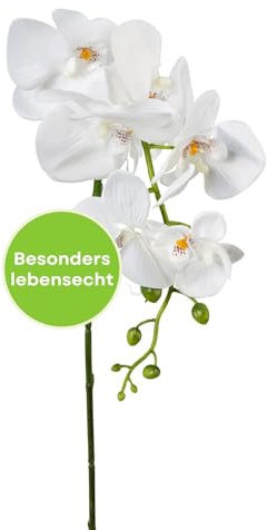 CREATIV green stilvolle Phalaenopsis Kunstorchidee 86cm in weiß I künstliche Orchideen wie echt mit naturgetreuen Blüten I Pflegeleichte & täuschend echte Kunstblumen I Ideal als Blumen Deko