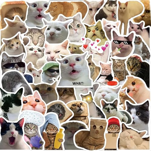 Katzen Sticker,50 Stück Lustiges Aufkleber Set Cat,Katzen Meme Sticker,Wasserfeste Vinyl Aufkleber Tiere für Skateboard Laptop Koffer Helm Motorrad Auto Fahrrad Handy,Geeignet für Erwachsene Kinder