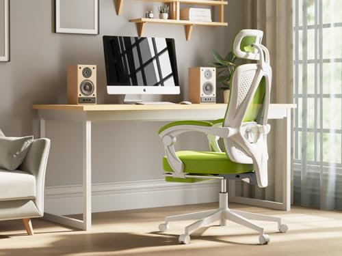 Dowinx Ergonomischer Bürostuhl mit Kopfstütze, Lendenwirbelstütze, Chefsessel mit Fußstütze, Höhenverstellbar, Verstellbare Rückenlehne, Mesh 150kg, Grün