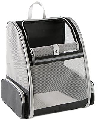 PETCUTE Hunderucksack, Katzenrucksack mit Mesh für kleine Hunde Katzen Welpen bis zu 7KG, Atmungsaktive und Faltbare Katzen Rucksäcke Tasche Airline genehmigt für Wandern Reisen Camping Schwarz