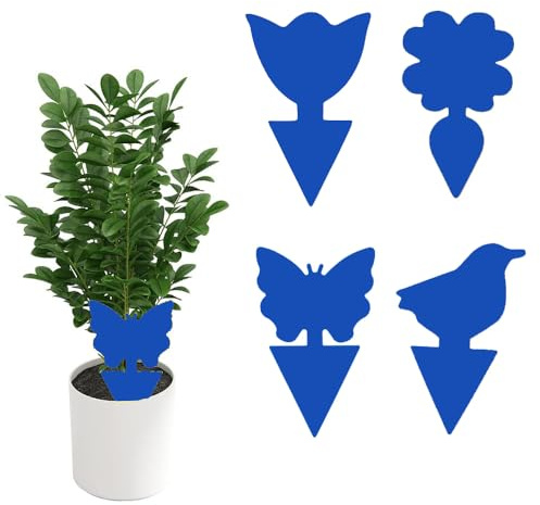 König Design 60 Stück Blautafeln Thripse Bekämpfung, Professionell Blaue Leimtafeln Gegen Tripse, Blausticker Klebefalle Schutz von Obstbäumen und Zimmerpflanzen (Blau)