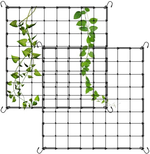 2 Stück Pflanzenstütznetz Wachstumsnetz 150 x 150 cm Rannetz für Pflanzen Pflanzennetz mit Haken Treibtennetz Stütznetz Gartennetz Zaun für Gartenarbeit Pflanzenzelt
