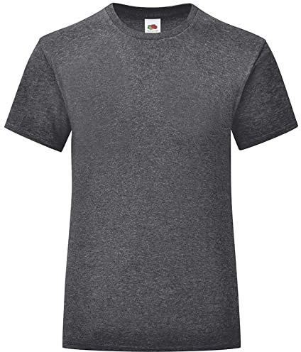 Fruit of the Loom Mens Iconic T-Shirt (XXL) (Dark Heather)