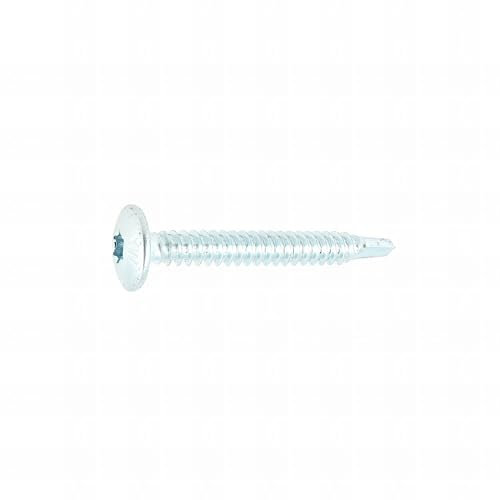 250 Vis Penture Autoperceuse acier zingués Blanc - Longueur 38 mm