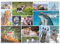 MyPuzzle Tierisch Lustig - Collage No. 1 - Premium 500 Teile Puzzle - MyPuzzle Sonderkollektion von Starnberger Spiele