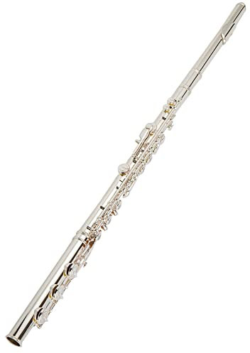 Flöteninstrument Versilberte Klappen Versetztes G-Klappensystem Querflöte B-Fußstück Geteilter E-Mechanismus 17-Loch-Profiflöte Professionelles Querflöten