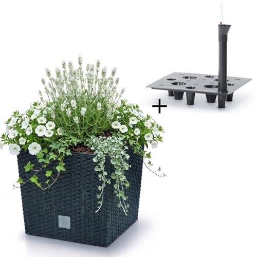 Prosperplast Blumentopf in Rattan-Optik mit Einsatz und Bewässeerungssystem | anthrazit | wetterfest & UV-beständig | aus robustem Kunststoff | für Innen- und Außenbereich | 40 x 40 x 40,8 cm