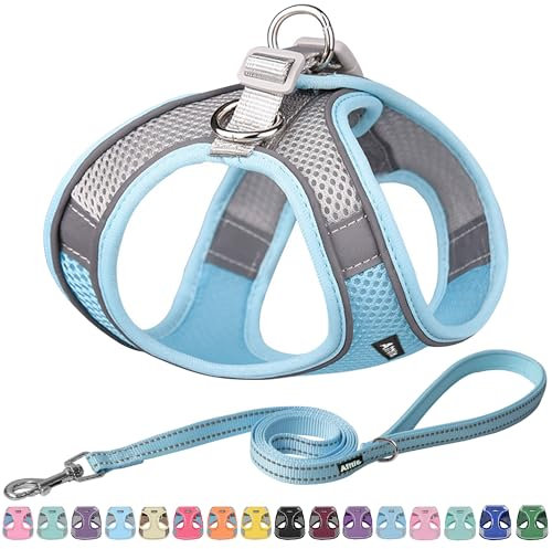 AIITLE No Pull Hundegeschirr, Step in einstellbares Hundegeschirr mit gepolsterter Weste, Hundeleine mit weichem gepolstertem Griff, leicht anzulegen für kleine und mittlere Hunde Blau S