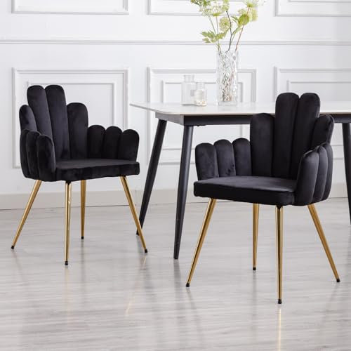 chairus 2er Set Samt Esszimmerstühle Küche gepolsterter Sitz Sessel Schlafzimmer Wohnzimmer Akzentstuhl mit Metallbeinen(Schwarz)