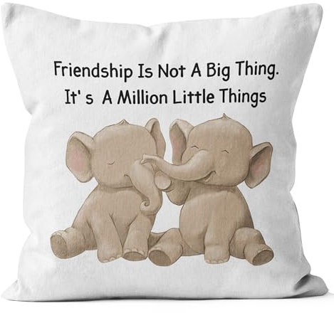 QGFM Freundschaftsgeschenke für Frauen, Freunde, Freunde, 45,7 x 45,7 cm, Deko-Kissenbezüge für Sofa, Couch, Zimmer, Freundschaftskissenbezüge
