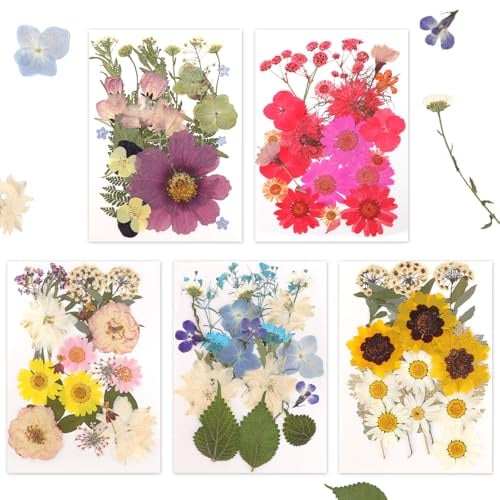 Gugxiom Gepresste Blumen, 100 Stück Natürliche Trockenblumen zum Basteln, 5 Farbthemen Getrocknete Blumen für Harz Formen, Kerzen, Nägel Kunst, Telefon Fällen DIY, Schmuck und Handwerk Machen (2)