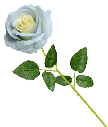 Cosswe Rosa artificiale in seta, fiori eterni, stelo singolo, confezione regalo, per bouquet di nozze, anniversari, feste, hotel, decorazione per ufficio (azzurro)