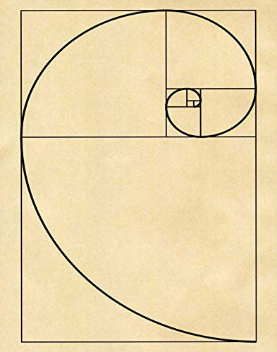 WallBUddy Fibonacci Poster Golden Spiral Poster Mathematics Poster Maths Poster Fibonacci Series Science Poster Science Print Scientific Art WB203 (40cm x 50cm, Parchment)