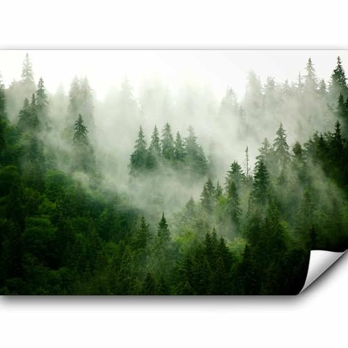 murando - Vlies Fototapete Wald Nebel 350x256cm Foto Tapete Schlafzimmer Wohnzimmer Vliestapete XXL Motivtapeten Bildtapete 3d Effekt Wand Dekoration - Natur Landschaft skandinavisch c-B-0533-a-b