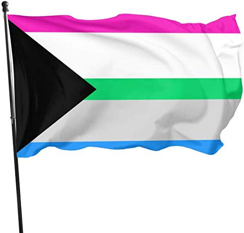Hofflagge, Banner, Demisexuell, polyromantisch, Poly-Demi, sexueller Stolz, Flagge, Thema, Willkommens-Party, Outdoor-Dekoration, Ornament, Picks, Haus, Garten, Hof, Dekoration, 90 x 152 cm