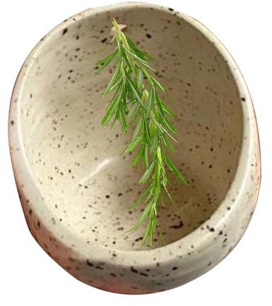 ETUCYNG Pottery Herbs Stripper, Herb Stripper Bowl Ceramic, Herbs Stripper Bowl Ceramic Pottery, 4 Handmade Different Round Hole Sizes, for Peeling Off The Leafy Assembly of Cilantro, Rosemary