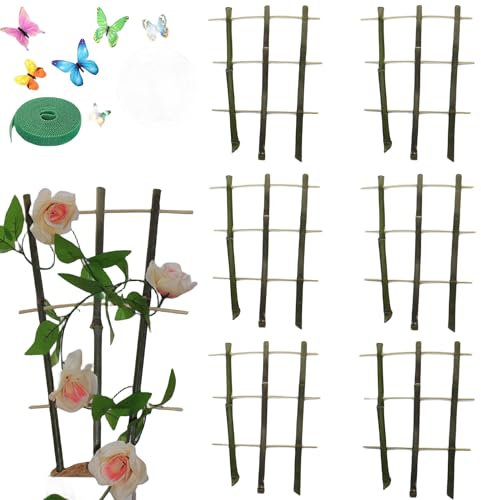 Rankgitter für Zimmerpflanzen, Bambus-Spalier, Pflanzenstütze, Gartenspalier mit Kletterpflanzen, mit natürlichen Kokosnussbraunen Moosstangen (6)