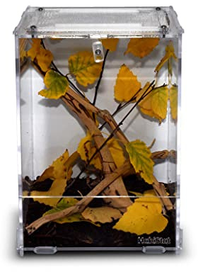Habistat HabiStat - Clear Home - Medium - Transparent Design - Durable Glass Tank - Reptile Tank - Glass Enclosure - Wire Mesh Top - Side Ventilation - Suitable for Reptiles & Invertebrates