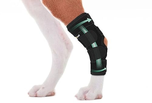 Lyderpet Dog Leg Brace for Rear Hock Joint, Compression Wrap Strong Support Back Leg for Canine Torn Acl & Ccl, Hind Ankle Injury and Sprain Heals, Keeps Warm and Stability for Arthritis (M)