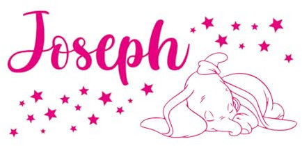 Schriftzug Aufkleber Dumbo Cartoon Vorlage Kinder Mädchen Junge Elefant 51,8x117,9cm Ausgestattet mit Transferfolienset Extra Groß Rosarot