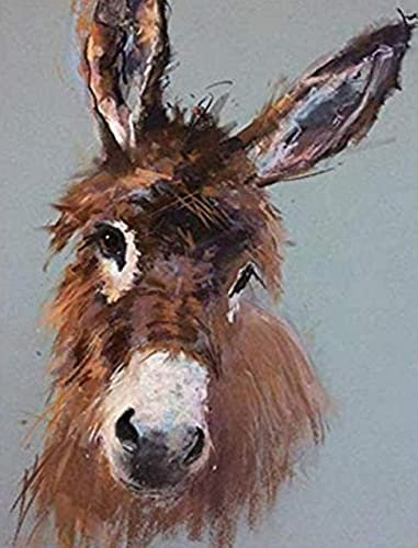 Kreuzstich Stickpackungen, Esel, DIY Stickerei Bilder Set Anfänger Nähen Handarbeit Starter Stickpackung Geschenkdekoration für Zuhause (11CT Vorgedruckte Leinwan) 40X50cm