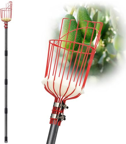 Herramienta de poste recogedor de frutas con cesta telescópica, recogedor de mango ajustable de 35 a 120 pulgadas de largo – Manzana, naranja, aguacate, bellota, limón, pera, pomelo, recogedor de
