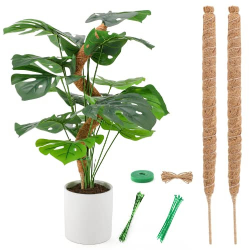 zerotop Moosstab, Pflanzstab Kokos Monstera Rankhilfe Biegbare Moosstab für Rankhilfe Monstera, 64cm Pflanzenstab Kokosstab für Pflanzen Pflanzenstütze Pflanzstab für Kletterpflanzenwachstum (2*64cm)