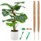 zerotop Moosstab, Pflanzstab Kokos Monstera Rankhilfe Biegbare Moosstab für Rankhilfe Monstera, 64cm Pflanzenstab Kokosstab für Pflanzen Pflanzenstütze Pflanzstab für Kletterpflanzenwachstum (2*64cm)