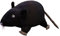 F Fityle Joli rat en peluche, jouet pour animaux, poupée d'oreiller interactive pour animaux, jouet en peluche, poupée de souris de simulation de dessin animé, noir