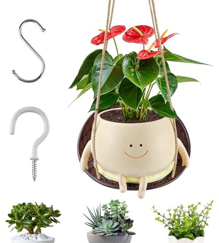 Swing Face Planter Pot - Resin Smile Face Flower Pot, Cute Plant Pot for Succulent Planter, Swing Chair Hanging Plant Pot with Drainage Design, Plant Lover Gifts for Home Office Garden Toy (Large)