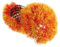 VOSAREA Ball Aus Kunstrasen Hängende Grasbälle Faux-Mamas Für Draußen Formschnittball Mit Blumen Künstliche Formschnittkugel Dekorativer Künstlicher Grasball DIY Grasbälle Plastik Orange