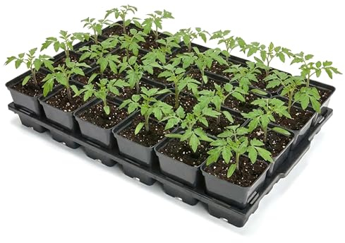 Garronda Anzuchtschale 24 Plätze mit 0,5 L Pflanztöpfen eckig Set Transporttray Kunststoff für Gewächshaus Garten Anzuchtsysteme mechanischen Transport Schwarz GD-0208