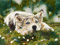 5000 Pieces Jigsaw For Adults Puzzle Family dog Letters, Numbers, Animals, Learning Wooden Puzzles Designed For ChildrenFinished size 156×105cm