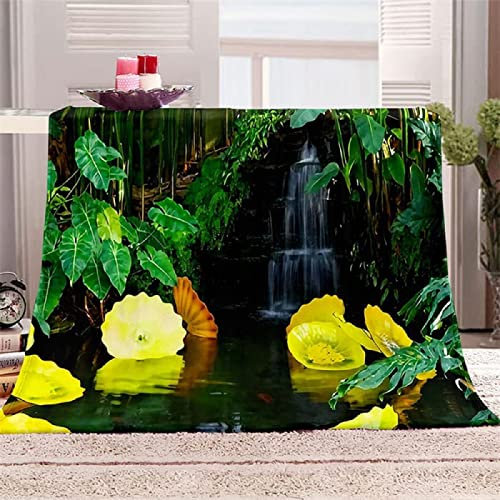Wohn-Kuscheldecken Kleiner Bach Seeoberfläche,Überwurfdecke für Couch Kuscheldecke Sofa Stuhl Bett Heimdekoration weich warm gemütlich leicht für Frühling Sommer Herbst-150x200 cm