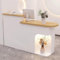 EKDJSN Empfangstheke, Rezeptionstheke, Moderner Empfangstresen mit LED-Licht, Rezeptionstisch Verkaufstheke mit Schublade und Lagerschrank(White A,120x50x105CM)