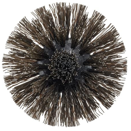 RYOBI - Brosse pour Surfaces dures - diamètre 110 mm - Compatible avec la Brosse 4V USB Lithium RSCR4 - RACLRH110