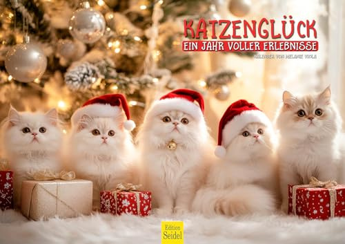 Edition Seidel Premium Kalender Katzenglück 2026 Format DIN A3 Wandkalender Haustiere Kätzchen Kater Kitten Melanie Viola