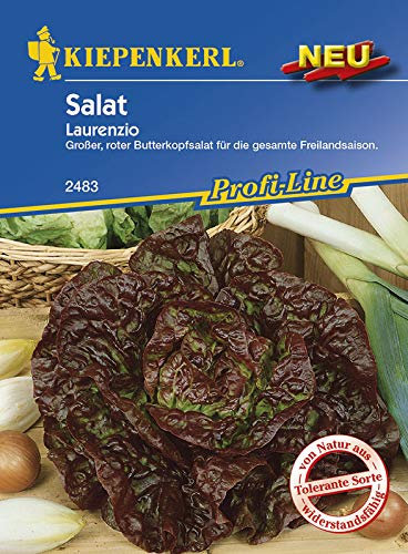 Salatsamen - Salat Laurenzio von Kiepenkerl